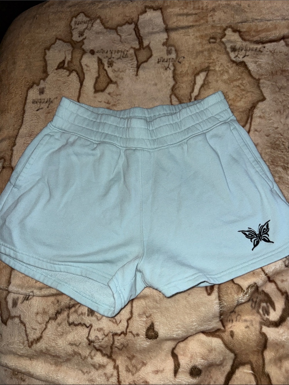 🖤Vintage Hollister Light Blue Athletic Shorts with Butterfly Detail size S🖤